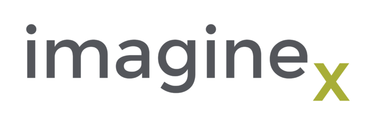 Imaginex Logo