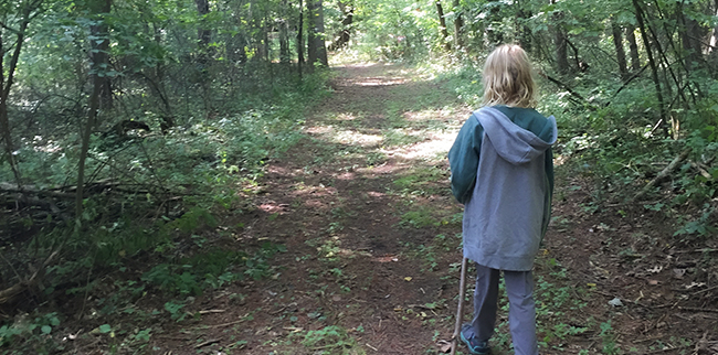 Boy walking on trail through the woods