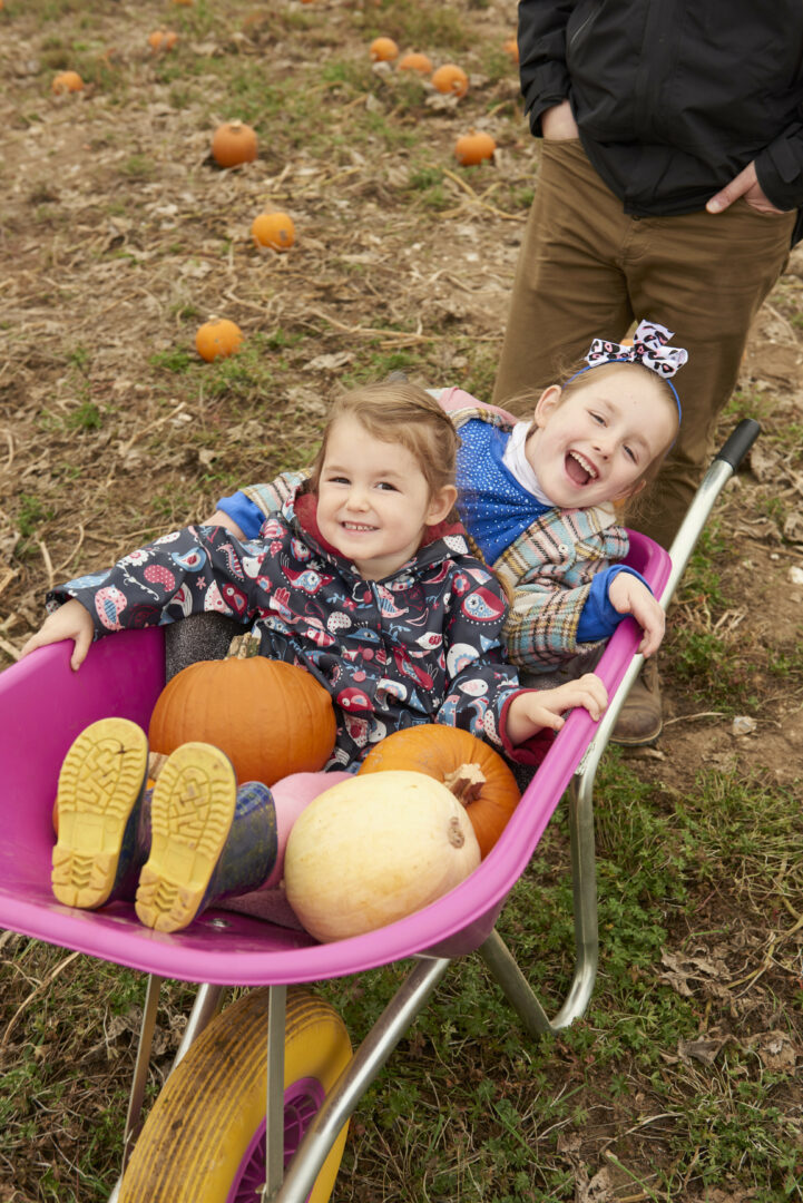 Two Joyful Children Sharing Laughter In A Pumpkin Patch Wheelbarrow.