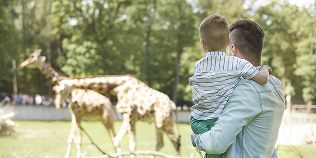 Dad holding son looking at giraffes